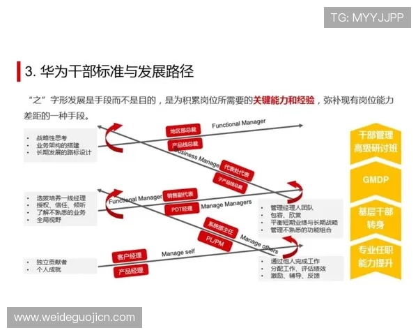 bob体育平台的客户服务体系全面解析为用户提供全方位支持